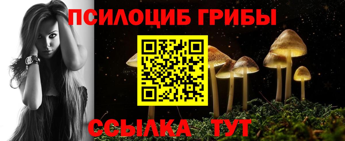 Орёл  Галлюциногенные грибы Cubensis  Вход с VPN 